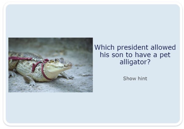 Presidential Trivia - Set 1 - Flash Cards - Image 2