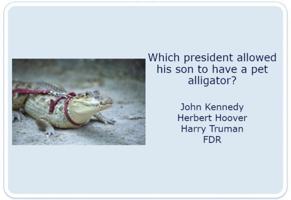 Presidential Trivia - Set 1 - Flash Cards - Image 3